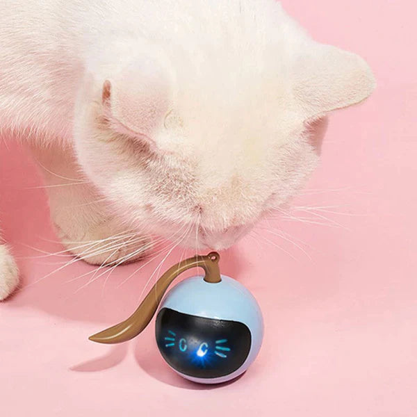 Self Rotating Cat Toy at $32.47 from Truemartin