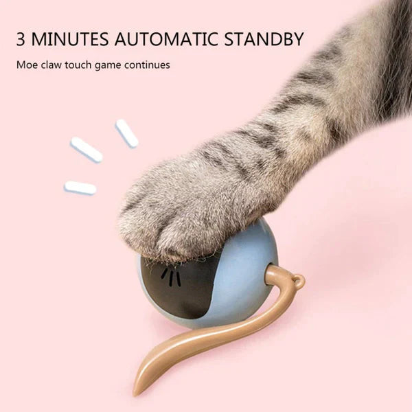 Self Rotating Cat Toy at $32.47 from Truemartin