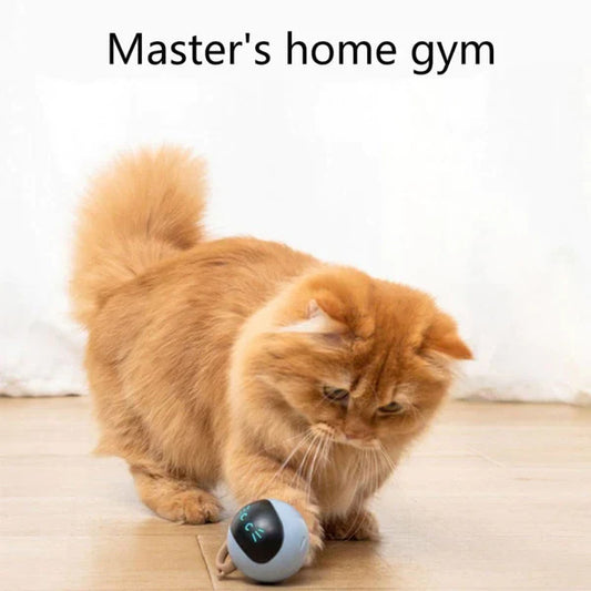 Self Rotating Cat Toy at $32.47 from Truemartin