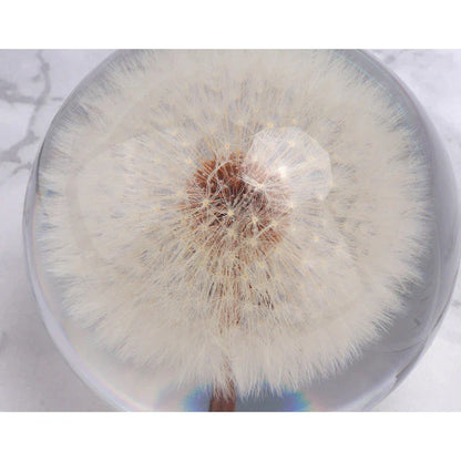 Dandelion Flower Crystal Glass Resin Ball at $29.97 from Truemartin