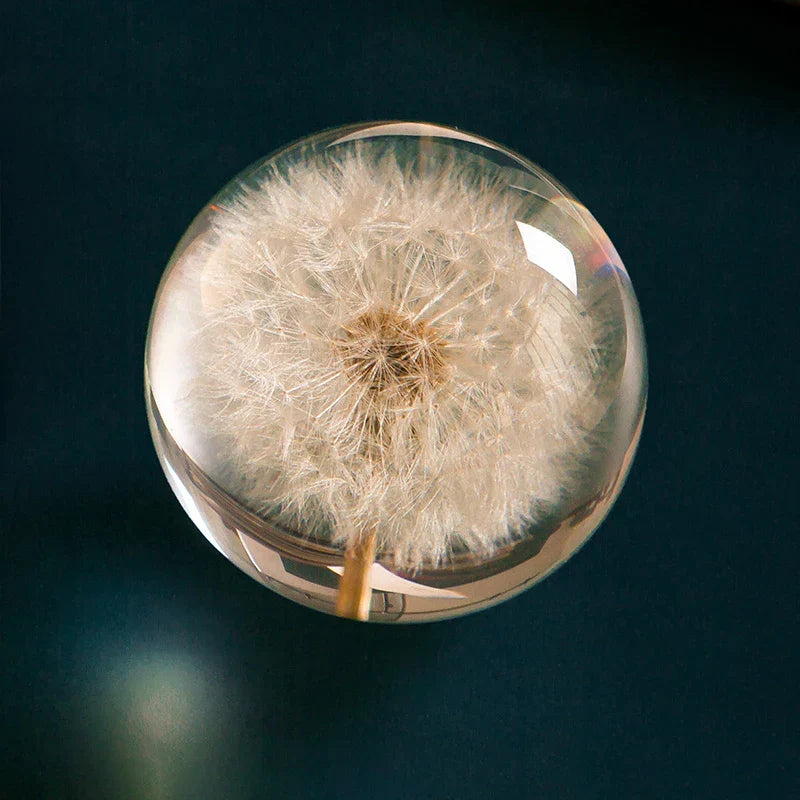 Dandelion Flower Crystal Glass Resin Ball at $29.97 from Truemartin