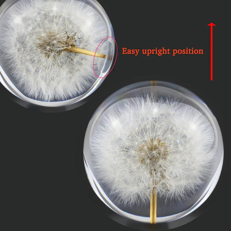 Dandelion Flower Crystal Glass Resin Ball at $29.97 from Truemartin