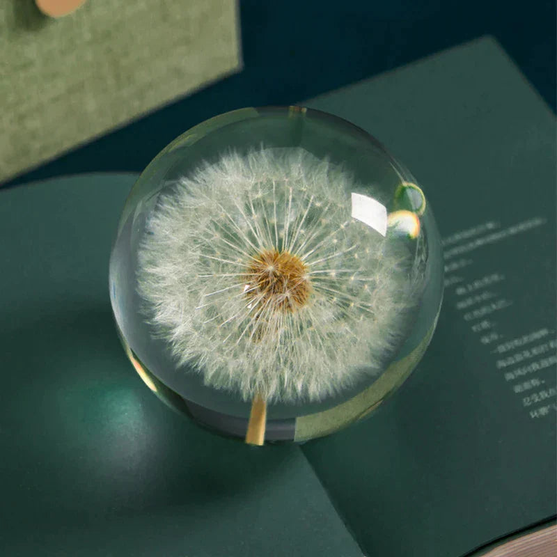 Dandelion Flower Crystal Glass Resin Ball at $29.97 from Truemartin