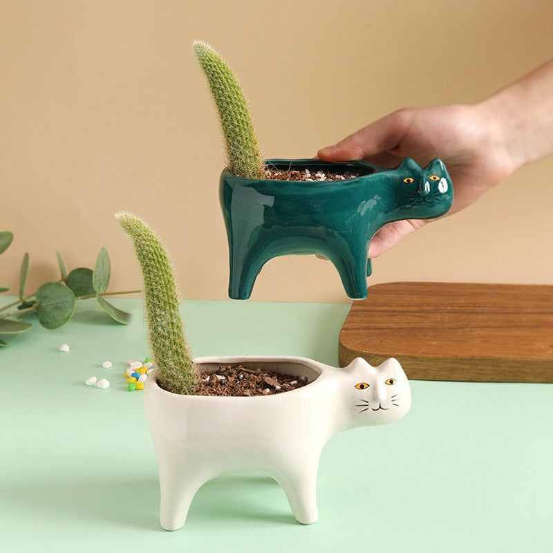 Cat Ceramic Pot at $16.97 from Truemartin