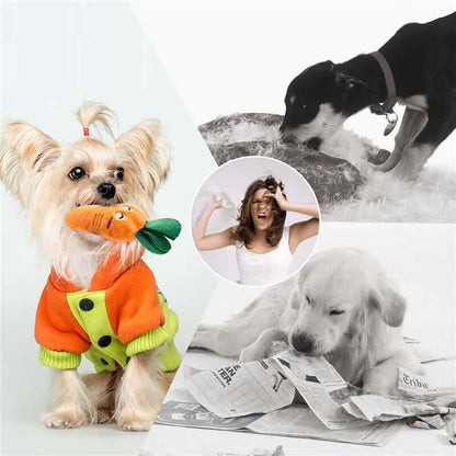 10/20/50 Pack Dog Squeaky Toys Plush Games Cute Plush Toys at $24.99 from Truemartin