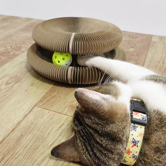 Magic Organ Cat Scratching Board-Comes with a toy bell ball and catnip at $29.97 from Truemartin